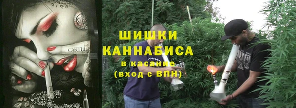 Альфа ПВП Алзамай