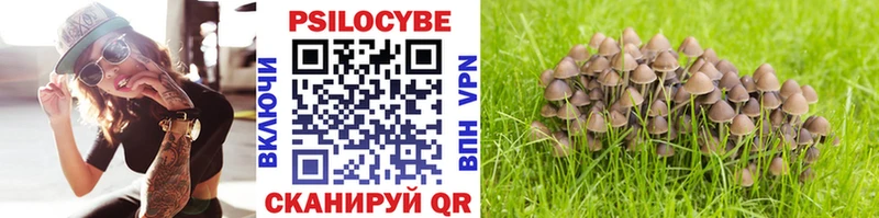 Псилоцибиновые грибы Cubensis  Ельня 
